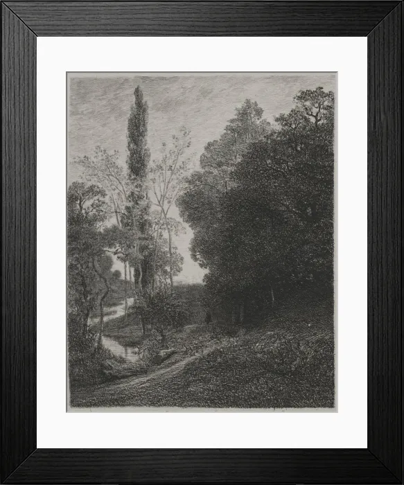 Framed Print : Banks of the River Cousin, 1850. Creator: Charles Francois Daubigny (French Framed Print : Banks of the River Cousin, 1850. Creator: Charles Francois Daubigny (French