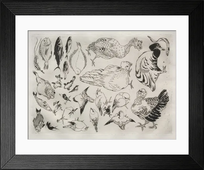 Framed Print : Dinner Service (Rousseau service): Ducks, fish, etc Framed Print : Dinner Service (Rousseau service): Ducks, fish, etc