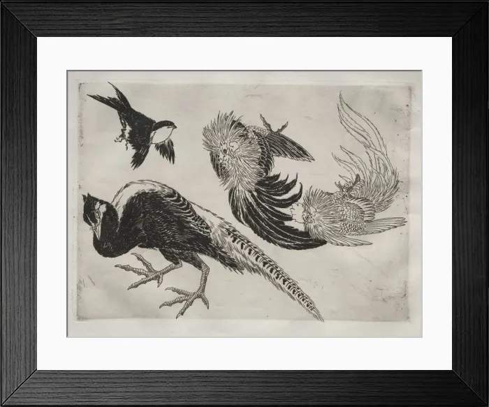 Framed Print : Dinner Service (Rousseau service): Pheasants and bird (no