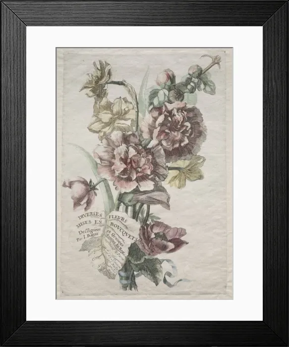 Framed Print : Divers fleurs mises en boucquets: No. 1 - Hollyhocks and Narcissus, c. 1670. Creator Framed Print : Divers fleurs mises en boucquets: No. 1 - Hollyhocks and Narcissus, c. 1670. Creator