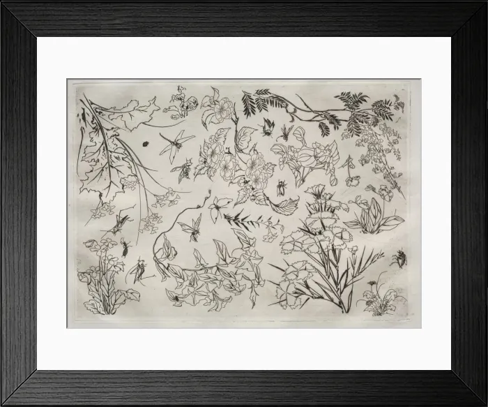 Framed Print : Dinner Service (Rousseau service): Flowers (no. 22), 1866. Creator: Felix Bracquemond (French Framed Print : Dinner Service (Rousseau service): Flowers (no. 22), 1866. Creator: Felix Bracquemond (French