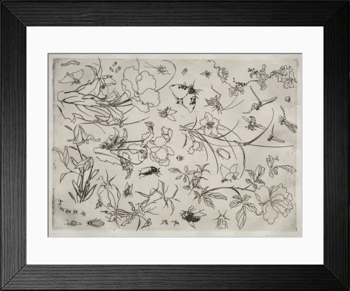 Framed Print : Dinner Service (Rousseau service): Flowers and Insects (no Framed Print : Dinner Service (Rousseau service): Flowers and Insects (no