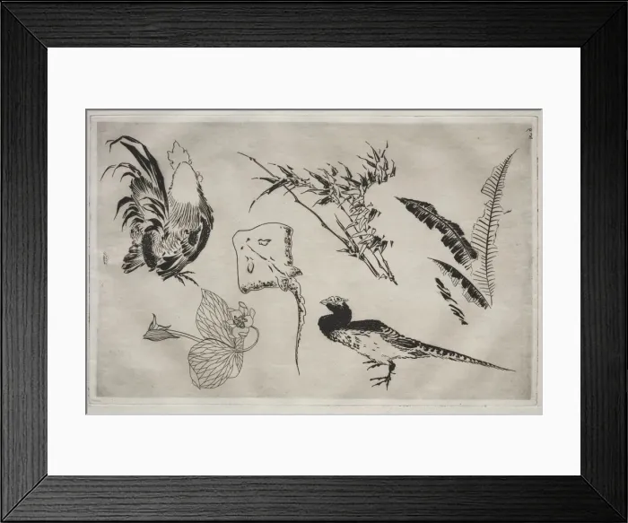 Framed Print : Dinner Service (Rousseau service): Roosters, skate, plants, etc. (no. 9), 1866. Creator Framed Print : Dinner Service (Rousseau service): Roosters, skate, plants, etc. (no. 9), 1866. Creator