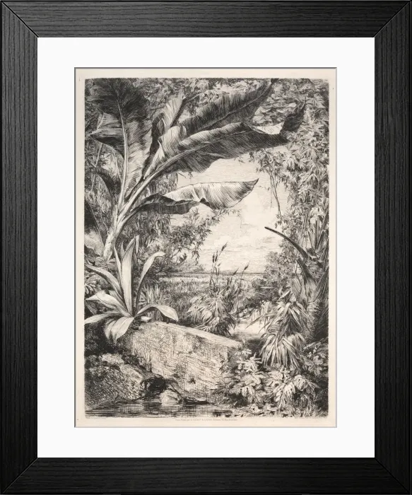 Framed Print : Plants of the Greenhouse, 1872. Creator: Jules Jacquemart (French, 1837-1880); A Framed Print : Plants of the Greenhouse, 1872. Creator: Jules Jacquemart (French, 1837-1880); A
