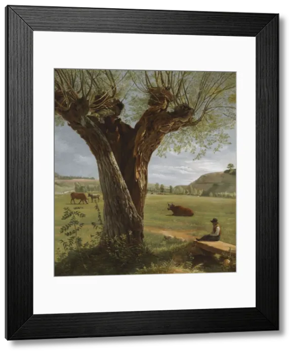 Framed Print : Pollard Willow, after 1804. Creator: Pierre Jean Boquet (French, 1751-1817)