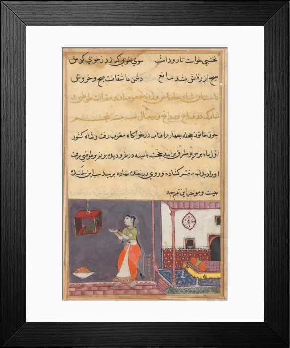 Framed Print : Page from Tales of a Parrot (Tuti-nama): Twenty-fifth night: The parrot addresses Khujasta Framed Print : Page from Tales of a Parrot (Tuti-nama): Twenty-fifth night: The parrot addresses Khujasta