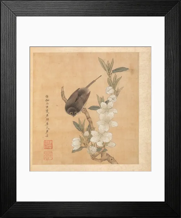 Framed Print : Paintings after Ancient Masters: A Bird and Peach-Blossom Branch, 1598-1652. Creator Framed Print : Paintings after Ancient Masters: A Bird and Peach-Blossom Branch, 1598-1652. Creator