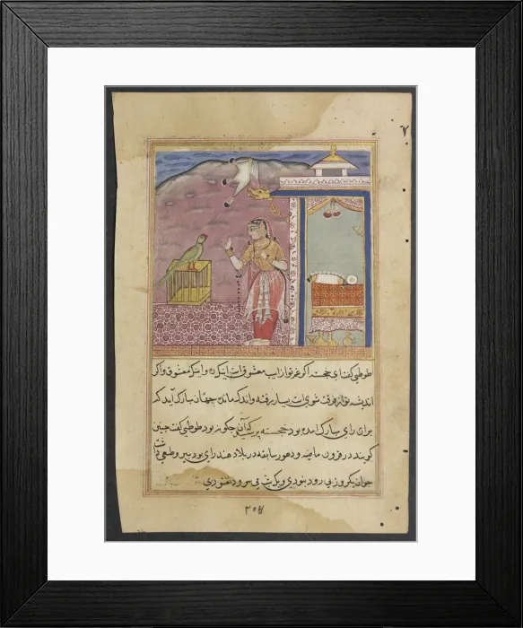 Framed Print : Page from Tales of a Parrot (Tuti-nama): Forty-fourth night: The parrot addresses Framed Print : Page from Tales of a Parrot (Tuti-nama): Forty-fourth night: The parrot addresses