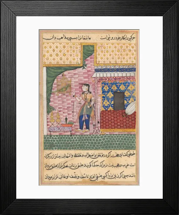 Framed Print : Page from Tales of a Parrot (Tuti-nama): Seventeenth night: The parrot... c. 1560 Framed Print : Page from Tales of a Parrot (Tuti-nama): Seventeenth night: The parrot... c. 1560