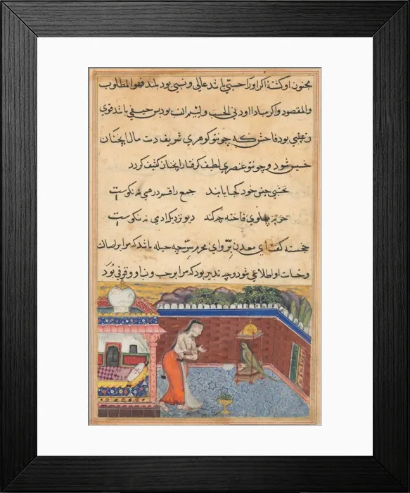Framed Print : Page from Tales of a Parrot (Tuti-nama): Thirty-first night: The parrot... 1558-1560 Framed Print : Page from Tales of a Parrot (Tuti-nama): Thirty-first night: The parrot... 1558-1560