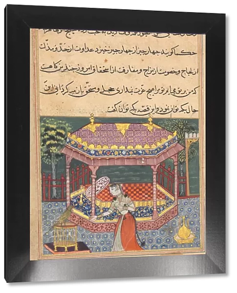 Page from Tales of a Parrot (Tuti-nama): Thirty-seventh night: The parrot addresses Khujasta