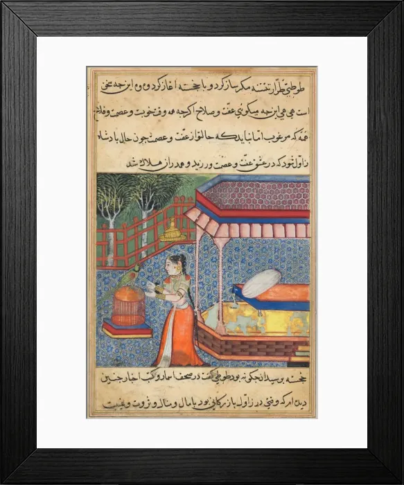 Framed Print : Page from Tales of a Parrot (Tuti-nama): Thirty-sixth night: The parrot addresses Khujasta Framed Print : Page from Tales of a Parrot (Tuti-nama): Thirty-sixth night: The parrot addresses Khujasta
