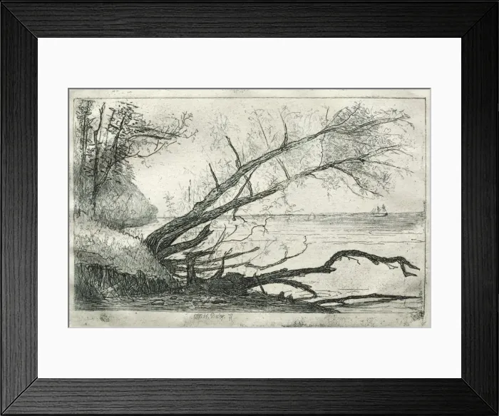 Framed Print : Old Sycamore, 1877. Creator: Otto H. Bacher (American, 1856-1909) Framed Print : Old Sycamore, 1877. Creator: Otto H. Bacher (American, 1856-1909)