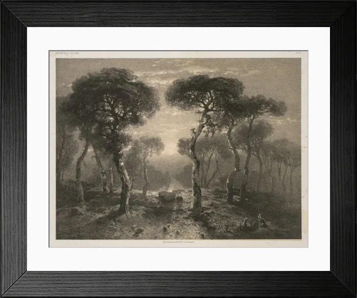 Framed Print : Oeuvres de A. Calame, No. 13: Foret de Sierre en Valais, 1843 (published 1851) Framed Print : Oeuvres de A. Calame, No. 13: Foret de Sierre en Valais, 1843 (published 1851)