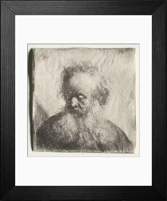 Framed Print : Old Man with a Flowing Beard: Bust, 1631. Creator: Rembrandt van Rijn (Dutch, 1606-1669) Framed Print : Old Man with a Flowing Beard: Bust, 1631. Creator: Rembrandt van Rijn (Dutch, 1606-1669)