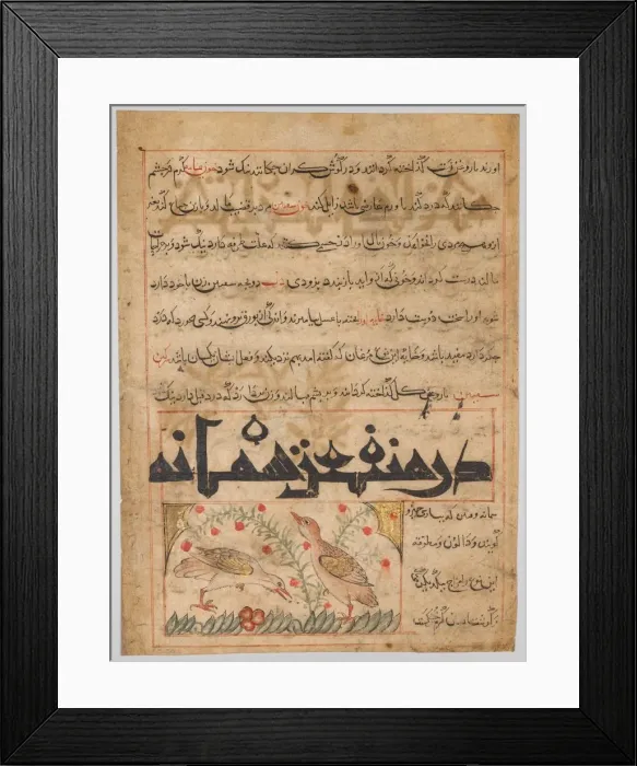 Framed Print : On the Benefits of Quails (verso) from a Manafi al-Hayawan... c. 1300. Creator: Unknown Framed Print : On the Benefits of Quails (verso) from a Manafi al-Hayawan... c. 1300. Creator: Unknown
