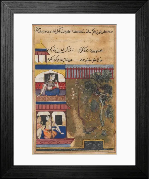 Framed Print : Page from Tales of a Parrot (Tuti-nama): Thirty-ninth night: The queen of Rum... c Framed Print : Page from Tales of a Parrot (Tuti-nama): Thirty-ninth night: The queen of Rum... c