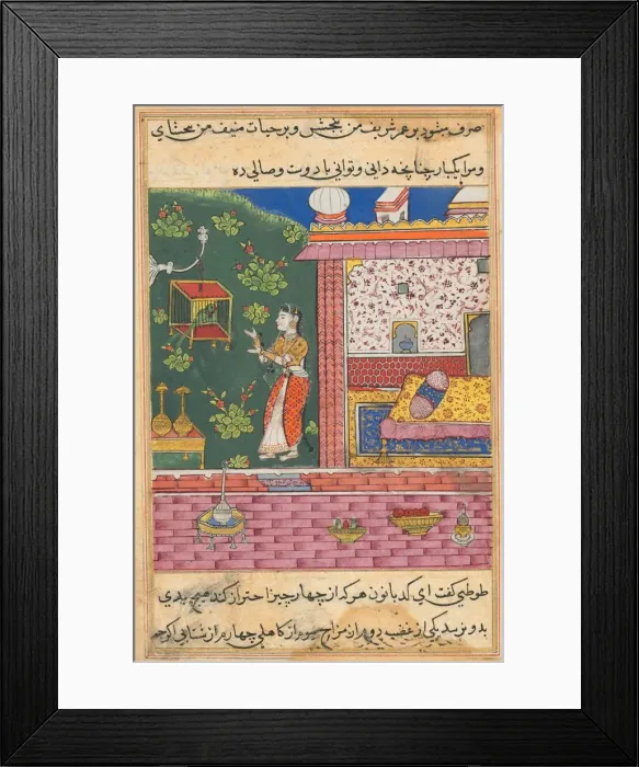 Framed Print : Page from Tales of a Parrot (Tuti-nama): Thirtieth night: The parrot addresses Khujasta Framed Print : Page from Tales of a Parrot (Tuti-nama): Thirtieth night: The parrot addresses Khujasta