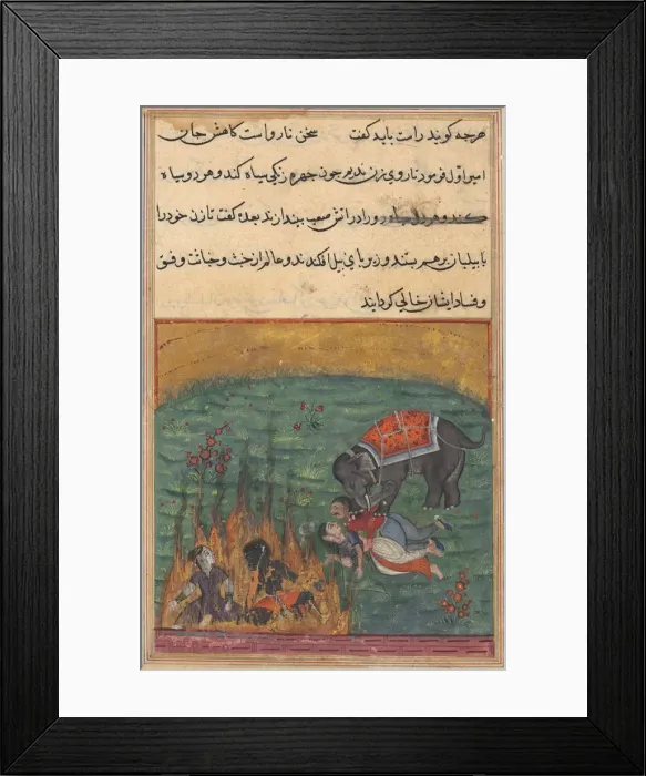 Framed Print : Page from Tales of a Parrot (Tuti-nama): Twenty-second night: As punishment... c Framed Print : Page from Tales of a Parrot (Tuti-nama): Twenty-second night: As punishment... c