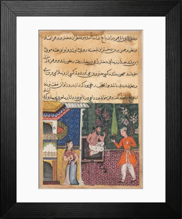 Framed Print : Page from Tales of a Parrot (Tuti-nama): Thirty-fifth night: The Brahman gives... c Framed Print : Page from Tales of a Parrot (Tuti-nama): Thirty-fifth night: The Brahman gives... c