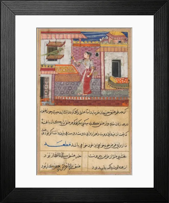 Framed Print : Page from Tales of a Parrot (Tuti-nama): Thirteenth night: The parrot addresses Khujasta Framed Print : Page from Tales of a Parrot (Tuti-nama): Thirteenth night: The parrot addresses Khujasta