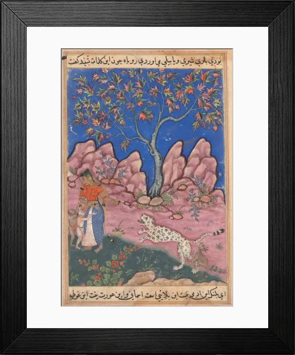Framed Print : Page from Tales of a Parrot (Tuti-nama): Thirtieth night: The woman conversing... c Framed Print : Page from Tales of a Parrot (Tuti-nama): Thirtieth night: The woman conversing... c