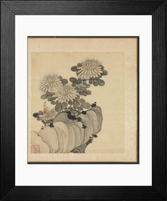 Framed Print : Paintings after Ancient Masters: Chrysanthemum and Rock, 1598-1652. Creator: Chen Hongshou
