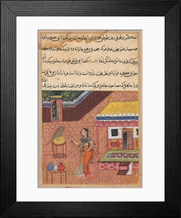 Framed Print : Page from Tales of a Parrot (Tuti-nama): Thirty-fourth night: The parrot addresses Khujasta Framed Print : Page from Tales of a Parrot (Tuti-nama): Thirty-fourth night: The parrot addresses Khujasta