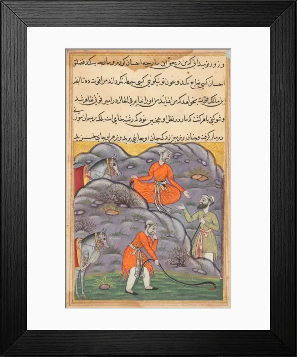 Framed Print : Page from Tales of a Parrot (Tuti-nama): Forty-fifth night: The Amir slays the snake Framed Print : Page from Tales of a Parrot (Tuti-nama): Forty-fifth night: The Amir slays the snake