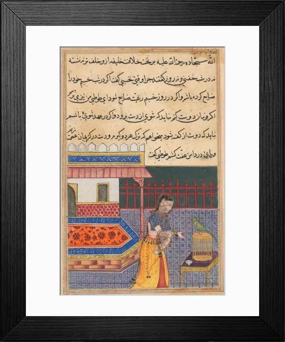 Framed Print : Page from Tales of a Parrot (Tuti-nama): Forty-first night: The parrot addresses Khujasta Framed Print : Page from Tales of a Parrot (Tuti-nama): Forty-first night: The parrot addresses Khujasta