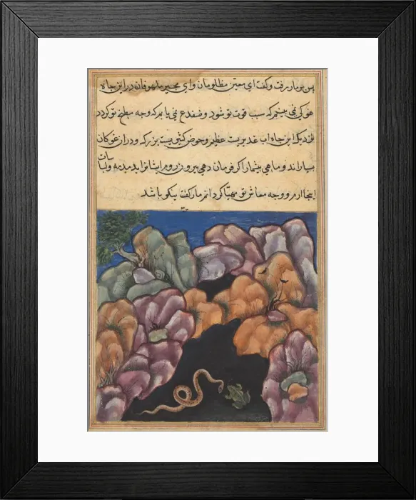 Framed Print : Page from Tales of a Parrot (Tuti-nama): Twenty-sixth night: The snake enters... c Framed Print : Page from Tales of a Parrot (Tuti-nama): Twenty-sixth night: The snake enters... c