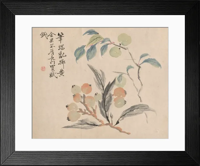 Framed Print : Loquat Tree of Japan. Creator: Tsubaki Chinzan (Japanese, 1801-1854) Framed Print : Loquat Tree of Japan. Creator: Tsubaki Chinzan (Japanese, 1801-1854)