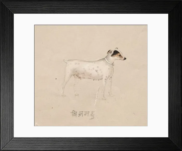 Framed Print : Dog, 1800s. Creator: Unknown Framed Print : Dog, 1800s. Creator: Unknown