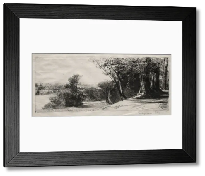 Framed Print : Early Morning, Richmond Park. Creator: Francis Seymour Haden (British, 1818-1910) Framed Print : Early Morning, Richmond Park. Creator: Francis Seymour Haden (British, 1818-1910)