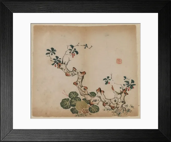 Framed Print : Branching Stump, 1368-1644. Creator: Unknown Framed Print : Branching Stump, 1368-1644. Creator: Unknown