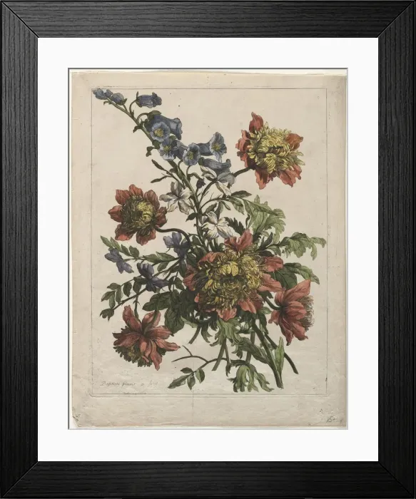 Framed Print : Bouquet. Creator: Jean-Baptiste I Monnoyer (French, c. 1636-1699) Framed Print : Bouquet. Creator: Jean-Baptiste I Monnoyer (French, c. 1636-1699)