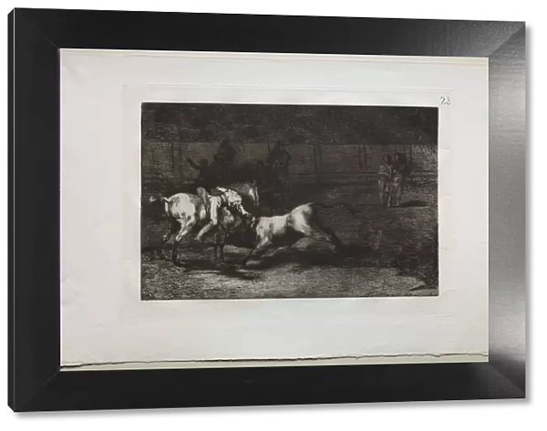 Bullfights: Mariano Ceballos, Alias the Indian, Kills the Bull From his Horse, 1876