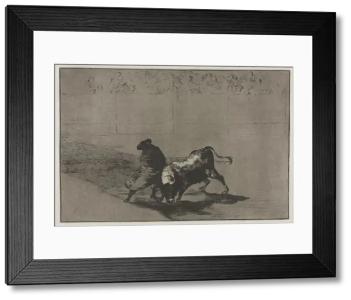 Framed Print : Bullfights: The Very Skilful Student of Falces, Wrapped in his Cape, Tricks the Bull Framed Print : Bullfights: The Very Skilful Student of Falces, Wrapped in his Cape, Tricks the Bull