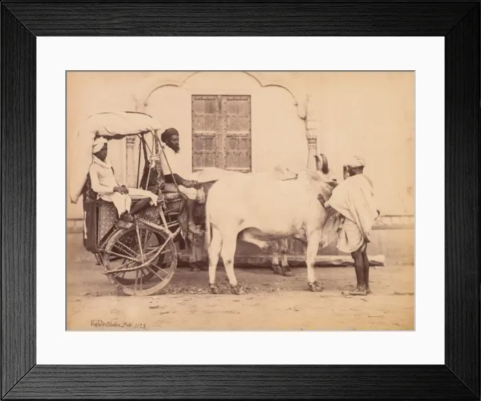 Framed Print : Bullock Cart, Delhi, 1863. Creator: Shepherd & Robertson (British, active Agra and Simla Framed Print : Bullock Cart, Delhi, 1863. Creator: Shepherd & Robertson (British, active Agra and Simla