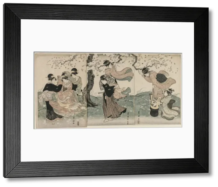 Framed Print : Cherry Blossoms in the Wind, late 1790s. Creator: Utagawa Toyokuni (Japanese, 1769-1825) Framed Print : Cherry Blossoms in the Wind, late 1790s. Creator: Utagawa Toyokuni (Japanese, 1769-1825)