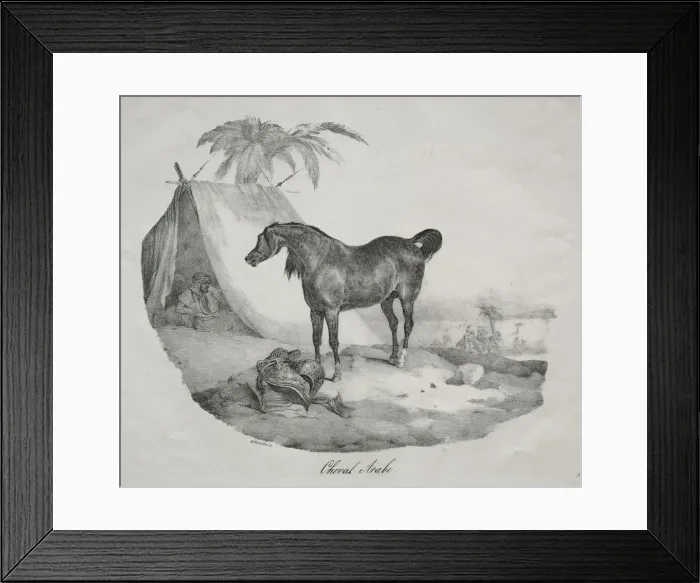Framed Print : Cheval Arabe. Creator: Theodore Gericault (French, 1791-1824) Framed Print : Cheval Arabe. Creator: Theodore Gericault (French, 1791-1824)