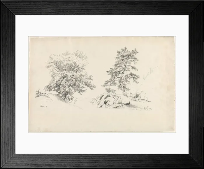 Framed Print : Chestnut and Pine, 1869. Creator: David Johnson (American, 1827-1908) Framed Print : Chestnut and Pine, 1869. Creator: David Johnson (American, 1827-1908)
