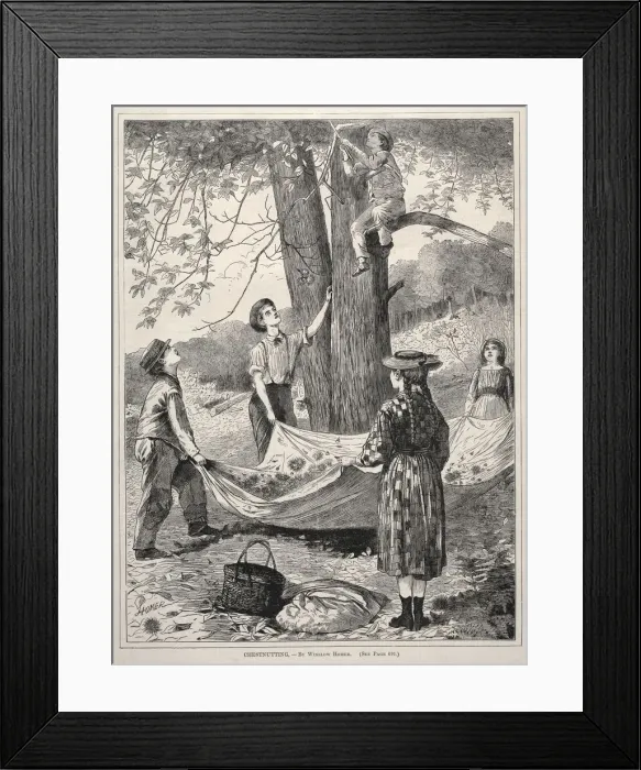 Framed Print : Chestnutting, 1870. Creator: Winslow Homer (American, 1836-1910) Framed Print : Chestnutting, 1870. Creator: Winslow Homer (American, 1836-1910)
