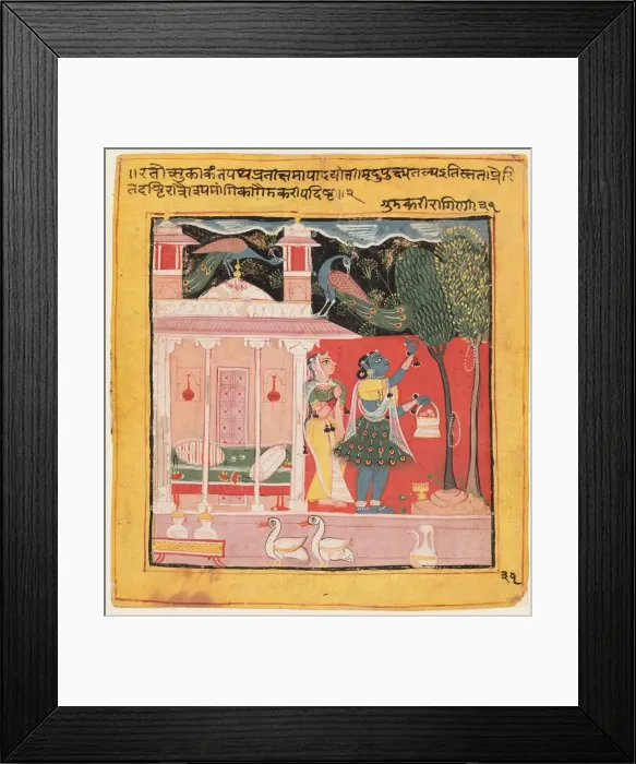 Framed Print : A Lady Plucking Flowers with Peacocks, Gunakali Ragini of Malkos, from the Chawand Framed Print : A Lady Plucking Flowers with Peacocks, Gunakali Ragini of Malkos, from the Chawand