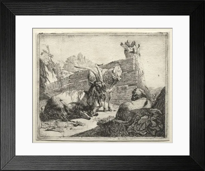 Framed Print : The Hedgerow, 1665. Creator: Johann Heinrich Roos (German, 1631-1685) Framed Print : The Hedgerow, 1665. Creator: Johann Heinrich Roos (German, 1631-1685)