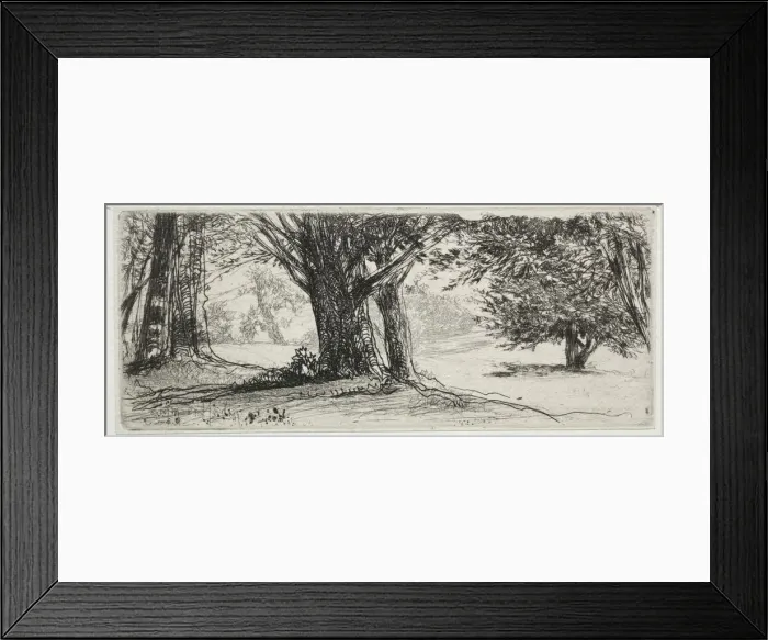 Framed Print : The Holly Field. Creator: Francis Seymour Haden (British, 1818-1910) Framed Print : The Holly Field. Creator: Francis Seymour Haden (British, 1818-1910)