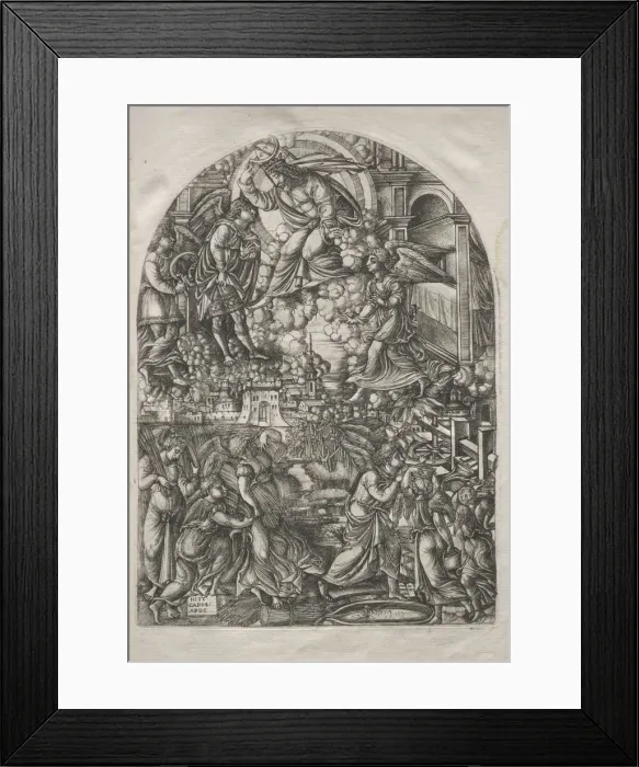 Framed Print : The Apocalypse: The Winepress of the Wrath of God, 1546-1556. Creator: Jean Duvet (French Framed Print : The Apocalypse: The Winepress of the Wrath of God, 1546-1556. Creator: Jean Duvet (French