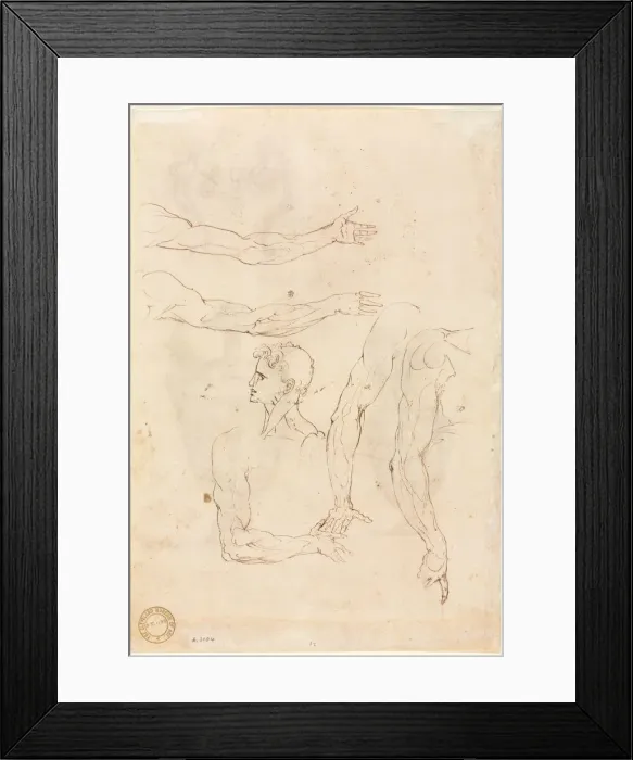 Framed Print : Sketches of Five Arms and a Head (verso), mid 1500s. Creator: Luzio Romano (Italian Framed Print : Sketches of Five Arms and a Head (verso), mid 1500s. Creator: Luzio Romano (Italian
