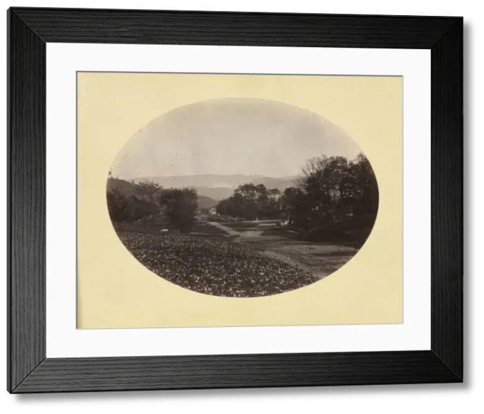 Framed Print : A Road in Williamstown, c. 1870. Creator: George K. Warren (American, 1834-1884) Framed Print : A Road in Williamstown, c. 1870. Creator: George K. Warren (American, 1834-1884)
