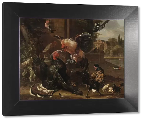 A Rooster and Turkey Fighting, c. 1680. Creator: Melchior de Hondecoeter (Dutch, 1636-1695)